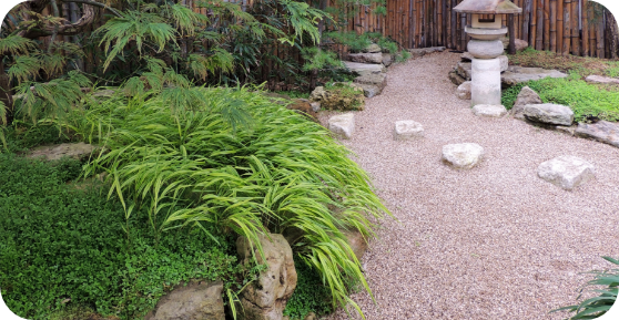 Qu’est-ce que le Feng Shui et comment l’appliquer à votre jardin ?